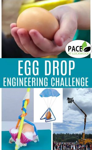 egg-drop-stem-challenge PACE