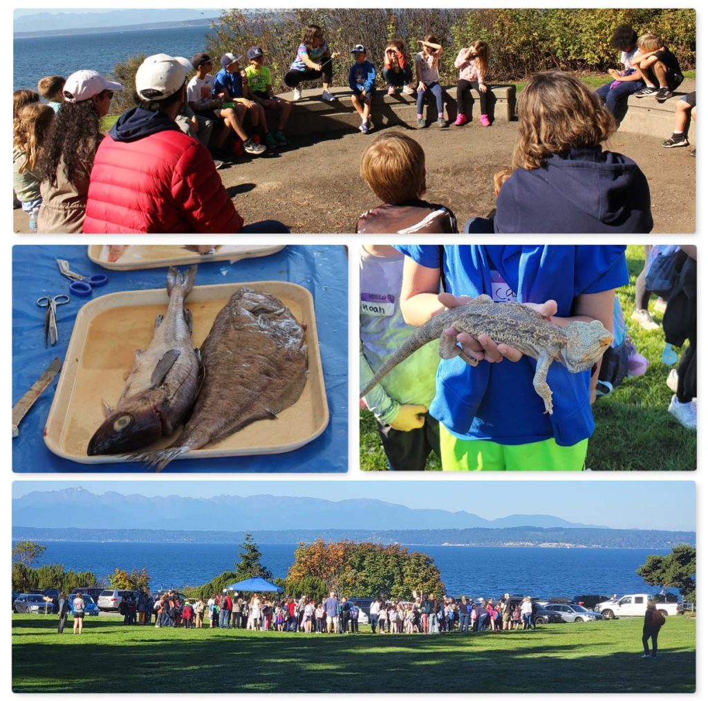 PACE children exploring science, art, and outdoor activities