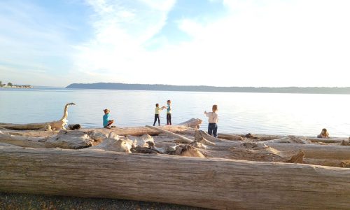 camping_beach_small